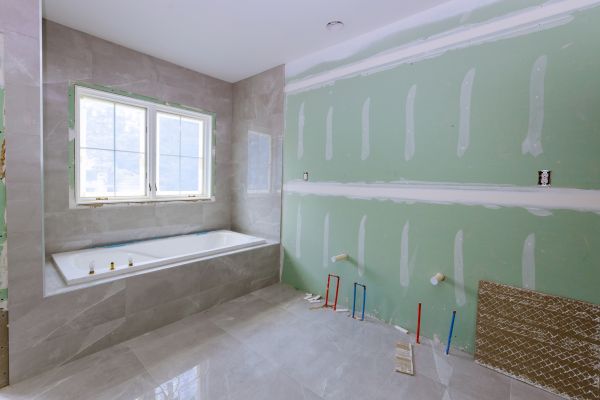 Bathroom Gutting in Noblesville